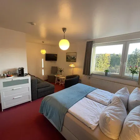 호텔 Vitalhotel Schulenberg 3*